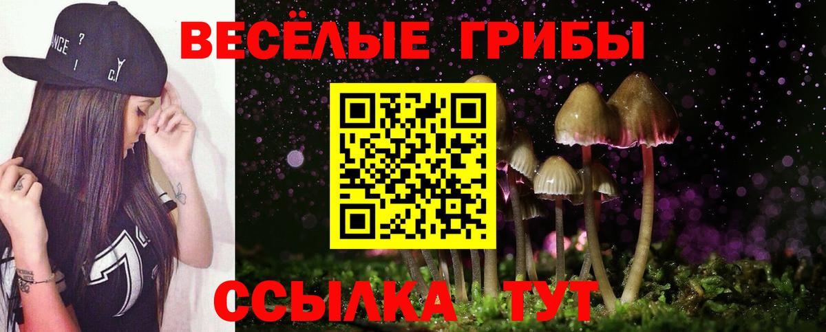 Галлюциногенные грибы Cubensis  Галлюциногенные грибы прущие грибы  Вход с VPN  Белгород 