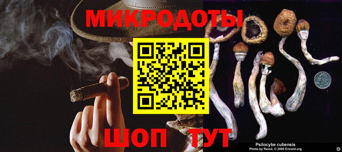 Псилоцибиновые грибы прущие грибы Белгород